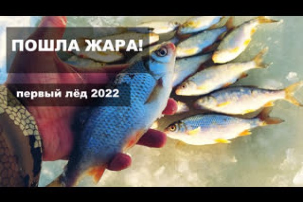 Кракен даркнет зеркало пв
