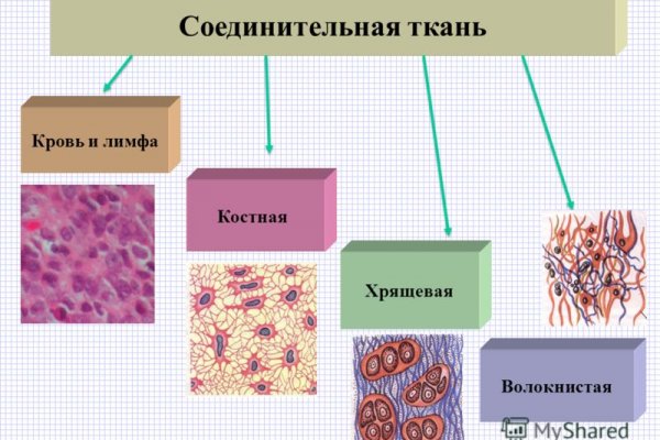 Кракен тор ссылка сегодня