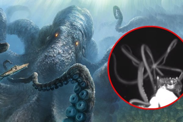 Кракен даркнет store kraken dark link