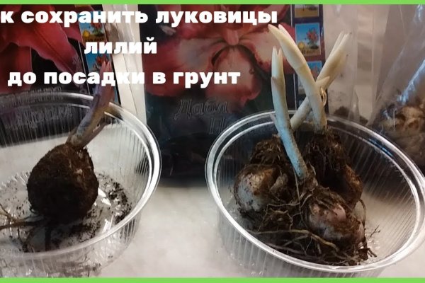 Кракен зеркало рабочее на сегодня
