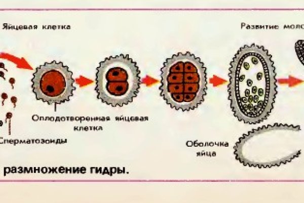 Кракен зеркало 2025