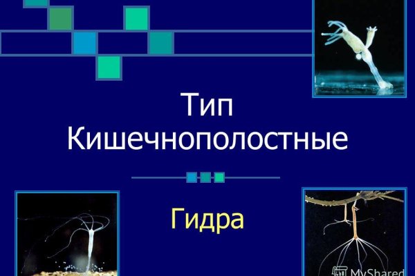 Вход в кракен чтобы купить меф