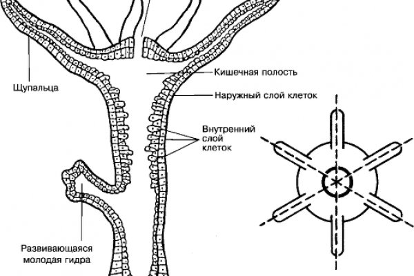 Где купить наркотиков