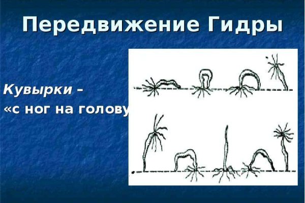 Как пополнить кошелек на кракене даркнет
