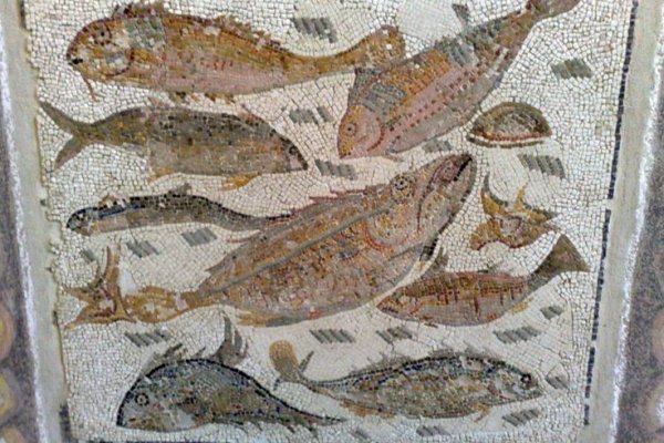 Купон кракен даркнет